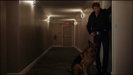 Hudson and Rex - Season 06 Episode 13